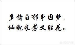 789电影网电影在线,最佳精选数据资料_手机版24.02.60