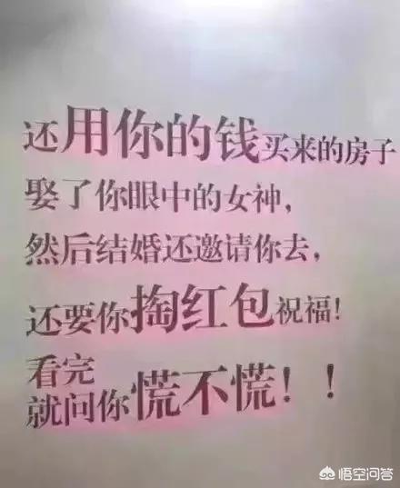 白小姐一码一肖期期准中特,最佳精选数据资料_手机版24.02.60