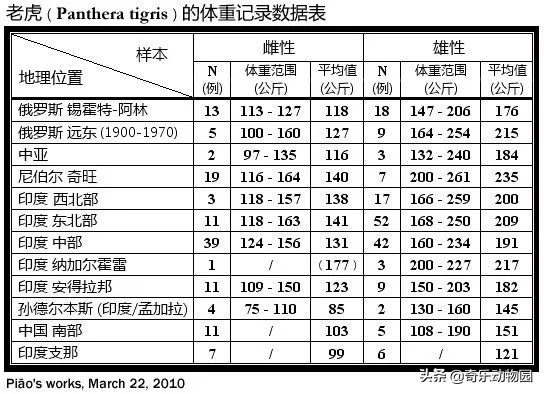 二手狮王在线观看高清,最佳精选数据资料_手机版24.02.60