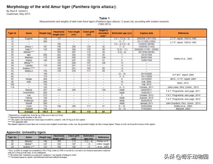 二手狮王在线观看高清,最佳精选数据资料_手机版24.02.60