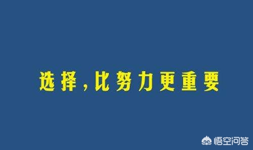 246天天好资料免费正版,最佳精选数据资料_手机版24.02.60