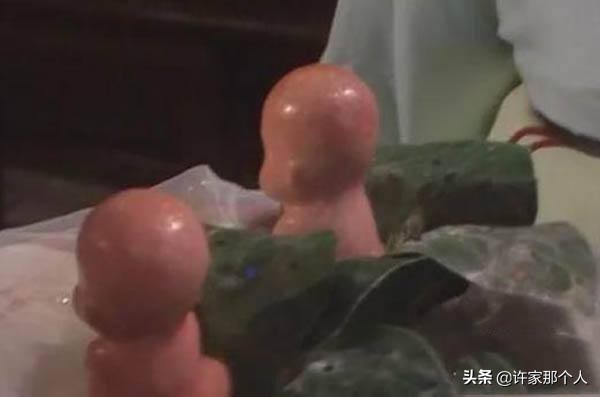 两个只能活一个,最佳精选数据资料_手机版24.02.60