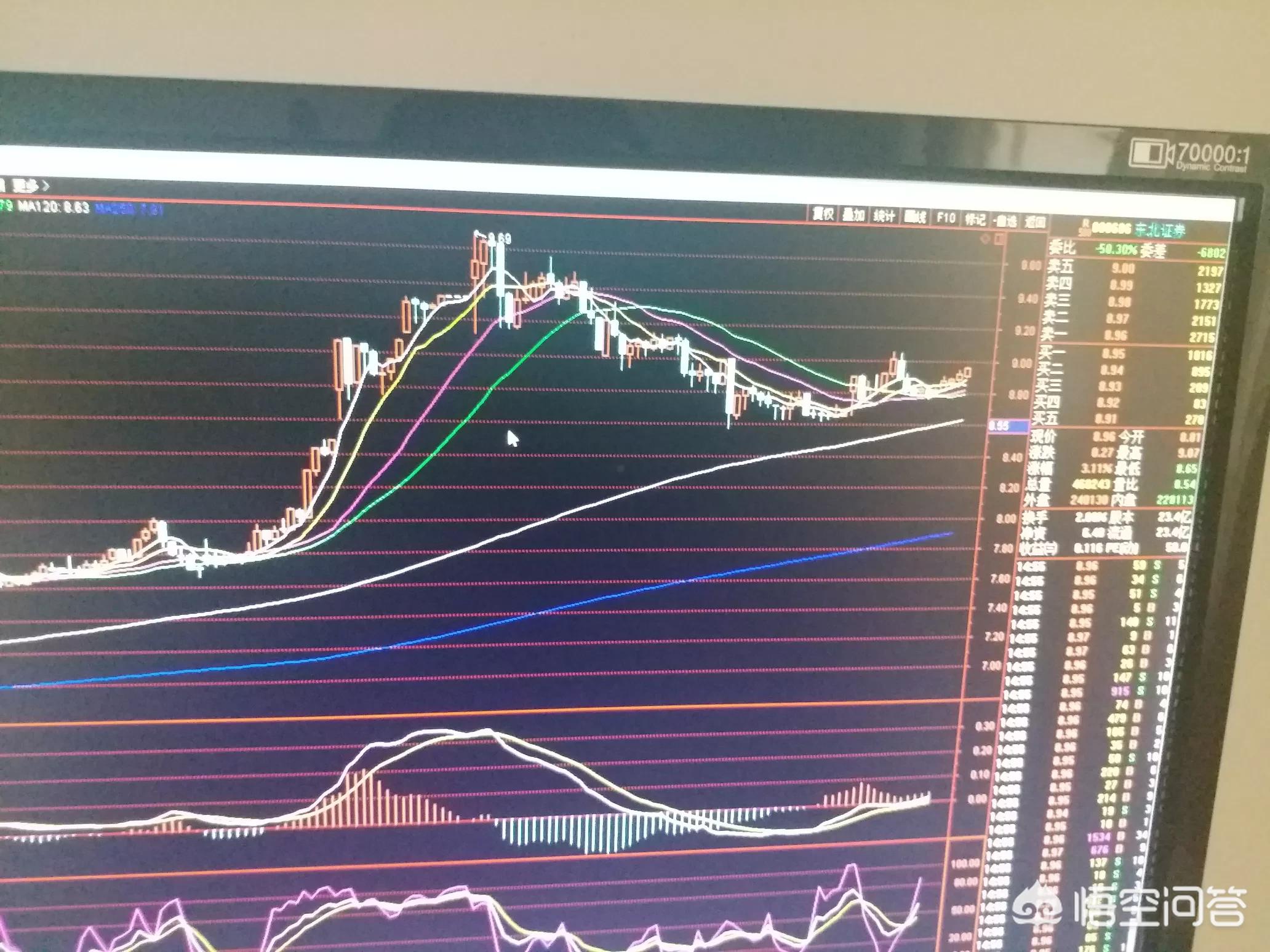 新奥门一马中特,最佳精选数据资料_手机版24.02.60