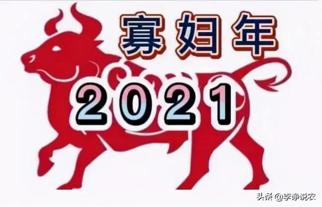 十三个月亮之年,最佳精选数据资料_手机版24.02.60