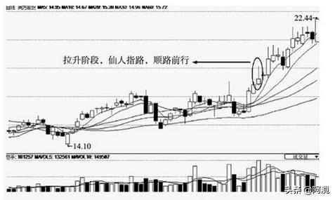 澳门仙人指路六码中特己经公开,最佳精选数据资料_手机版24.02.60