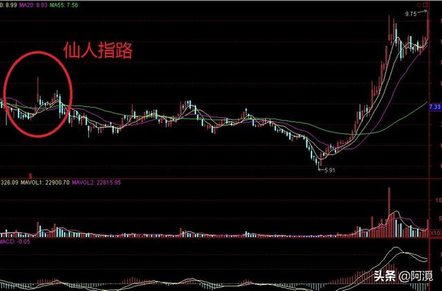 澳门仙人指路六码中特己经公开,最佳精选数据资料_手机版24.02.60