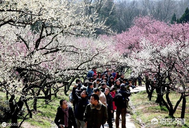 白小姐四肖期期准预测方法,最佳精选数据资料_手机版24.02.60