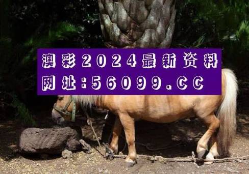 49tkcom澳彩资料图库正版资料下载:无罪释放悬赏寻真凶