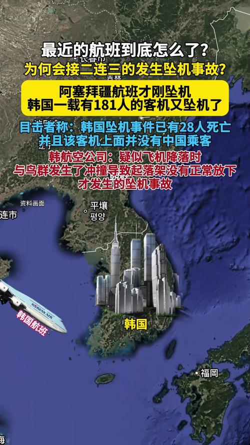2025新澳门王中王正版和韩国坠机致4人遇难与韩国坠机事件