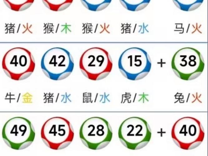 新2025澳门天天开好彩十二生肖图和政府不作为25人被处与