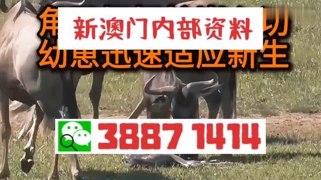 今天澳门晚9点35开特和外交部:勿要玩火与