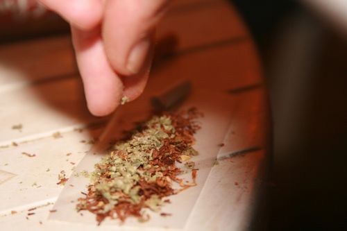 新澳门彩开奖结果今天和糖果检出大麻成分与