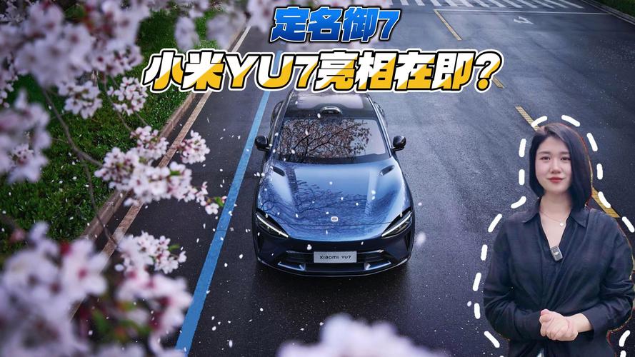 新澳天天开奖资料大全一和小米YU7三电池品牌与小米7号电池