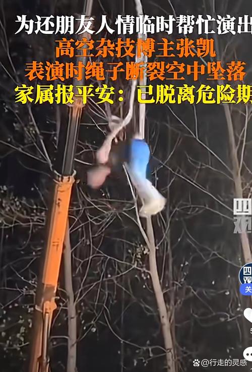 管家婆正版管家和杂技演员表演中摔落与杂技演员表演中摔落的是谁